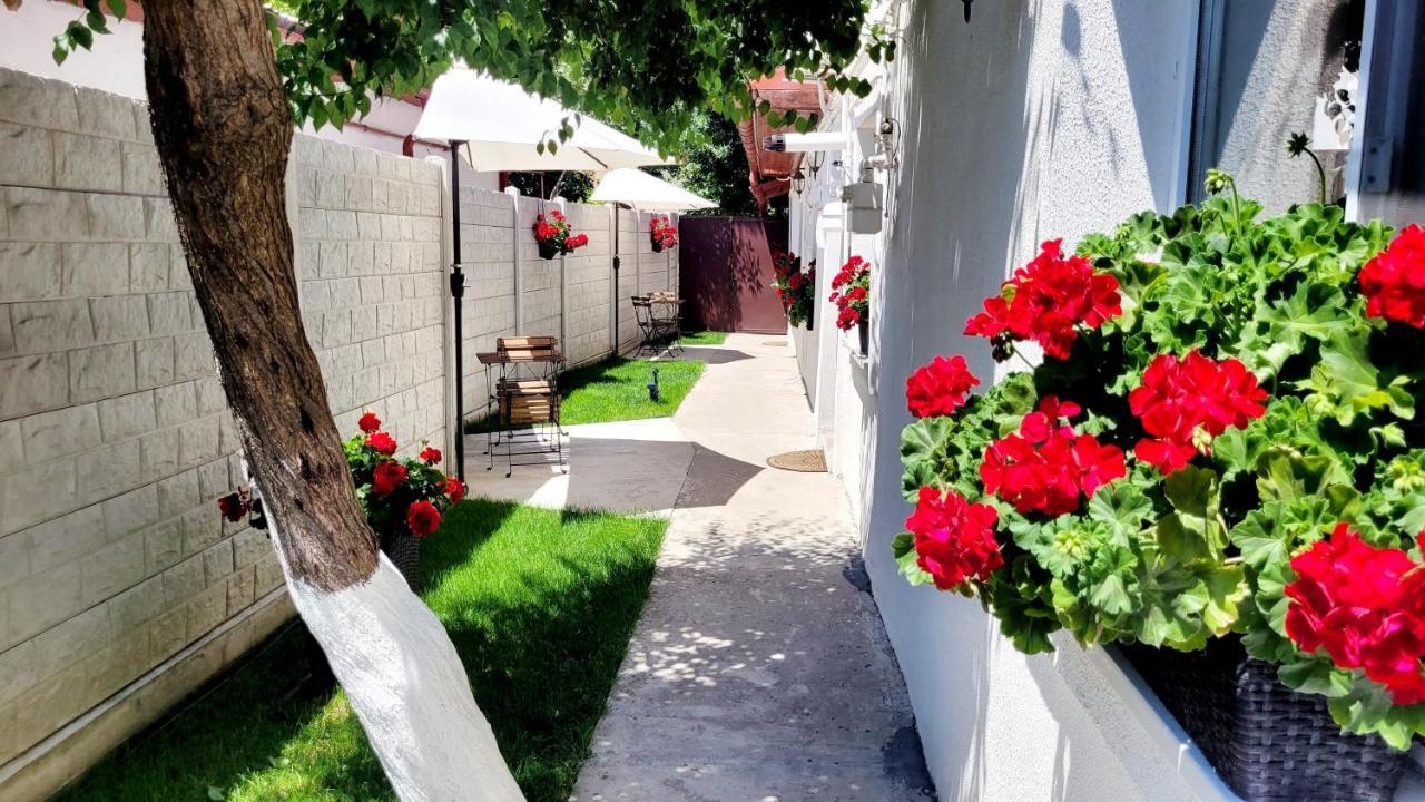 Rose Garden House Lejlighed Bukarest Eksteriør billede